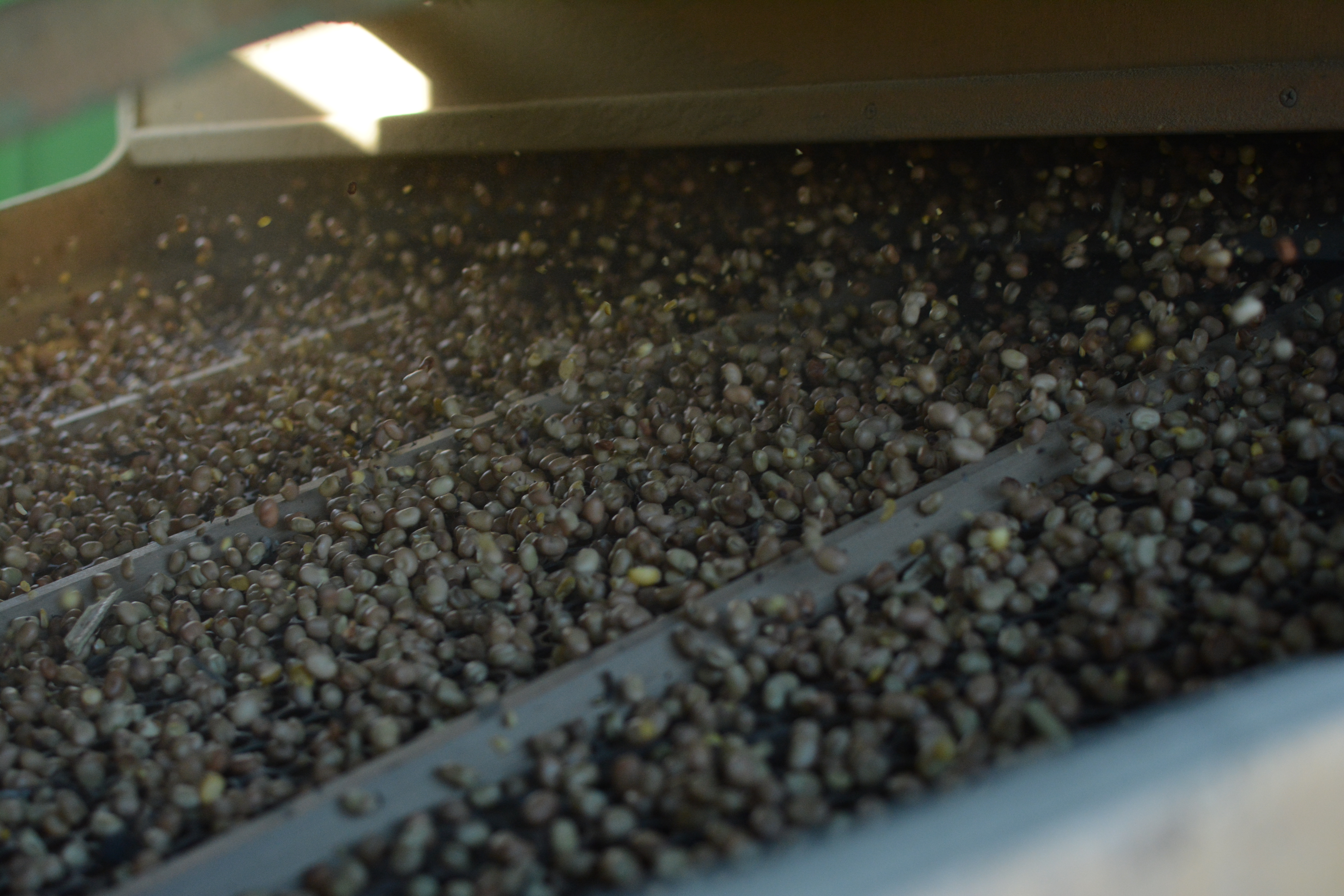 Seed Treatments & Activity (Focus Section 7)