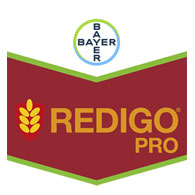 Redigo Pro